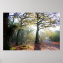 Search for sun bursts posters Light