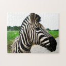 Search for zoo photography Nature