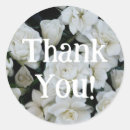 Search for gardenia stickers Flower