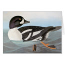 Search for barrows Barrows goldeneye