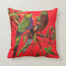 Search for australian bird cushions Parrot