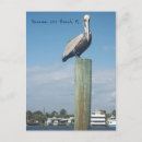 Search for panama city beach postcards Pcb