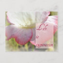 Search for hello spring cards White