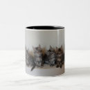 Search for coon mugs Kitty