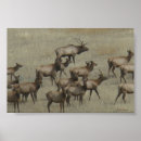 Search for big bull art Cervus canadensis