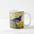 Search for wood duck mugs Aix sponsa