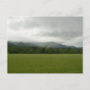 Search for cove postcards Tennessee