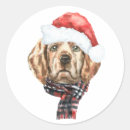 Search for golden stickers Dog