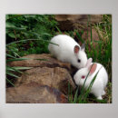 Search for valentines day nursery decor Sweet