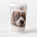 Search for dog cat pet mugs Create your own