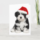 Search for havanese christmas cards Charming