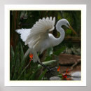 Search for egrets art Photography