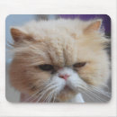 Search for persian mousepads Kitty