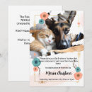 Search for cat picture invitations For her