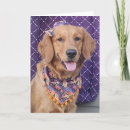 Search for golden retriever halloween cards Dog