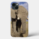 Search for reserved cases Mammal