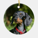 Search for miniature dachshund christmas tree decorations Puppy