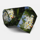 Search for tropical butterfly ties For him