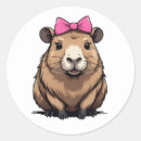 Search for capybara stickers Capibara