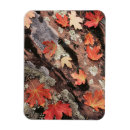 Search for backcountry cards Adnt