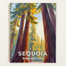 Search for sequoia California