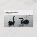 Search for greeting business cards Marketing
