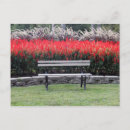 Search for bench postcards Grass