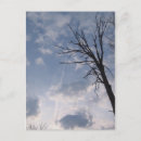 Search for towards postcards Photography