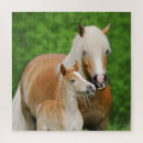 Search for horse puzzles Cute