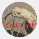 Search for rattlesnake stickers Rattler
