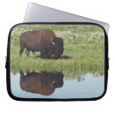 Search for grazing cases Outdoors
