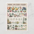 Search for economical postcards Vintage