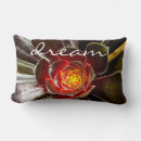 Search for cactus cushions Cacti