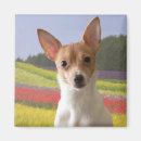 Search for toy magnets Terrier