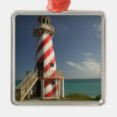 Search for bahamas christmas tree decorations Tropical
