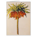 Search for fritillaria postcards Flowers