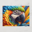 Search for macaw parrot postcards Green