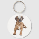 Search for rhodesian ridgeback dog key rings Puppy