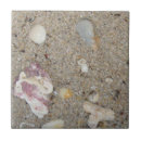 Search for beach shells tiles Sand