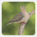 Search for depth stickers Fauna