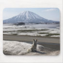 Search for shiba inu mousepads Cute
