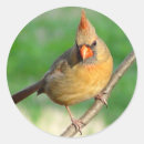 Search for digital photo stickers Birds