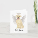 Search for pitbuls cards For pets