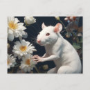 Search for rat postcards Cute