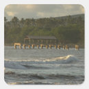 Search for kauai stickers Palm tree