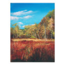 Search for trails art Autumn