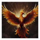 Search for fiery posters Wildlife