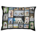 Search for animal dog beds cute