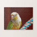 Search for pineapple puzzles Bird