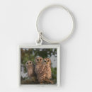 Search for gallery key rings Tree